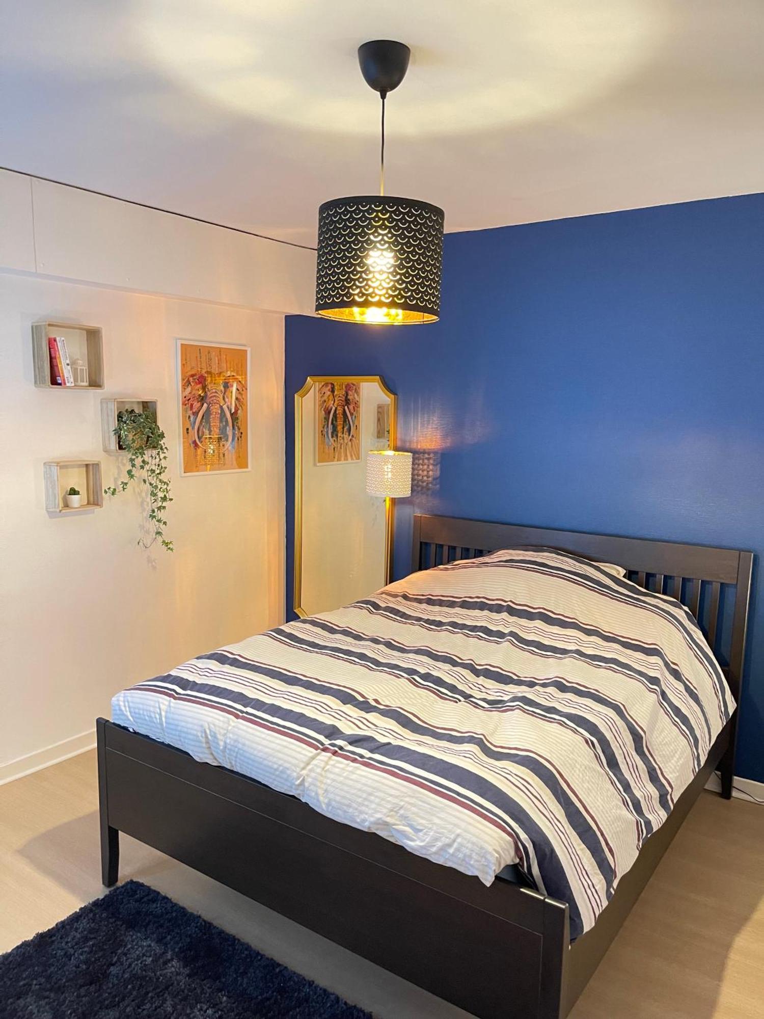Appartement Tres Cosy A 5 Min Aeroport Geneve Ферней-Вольтер Экстерьер фото